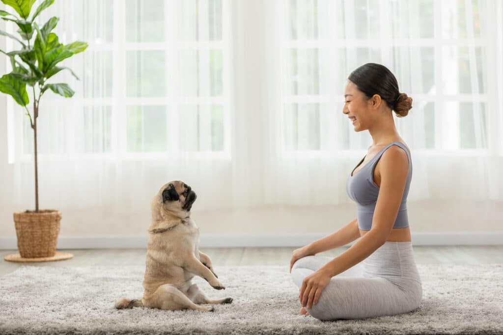 The power of the dog: Get your mental health intact with puppies, meditation