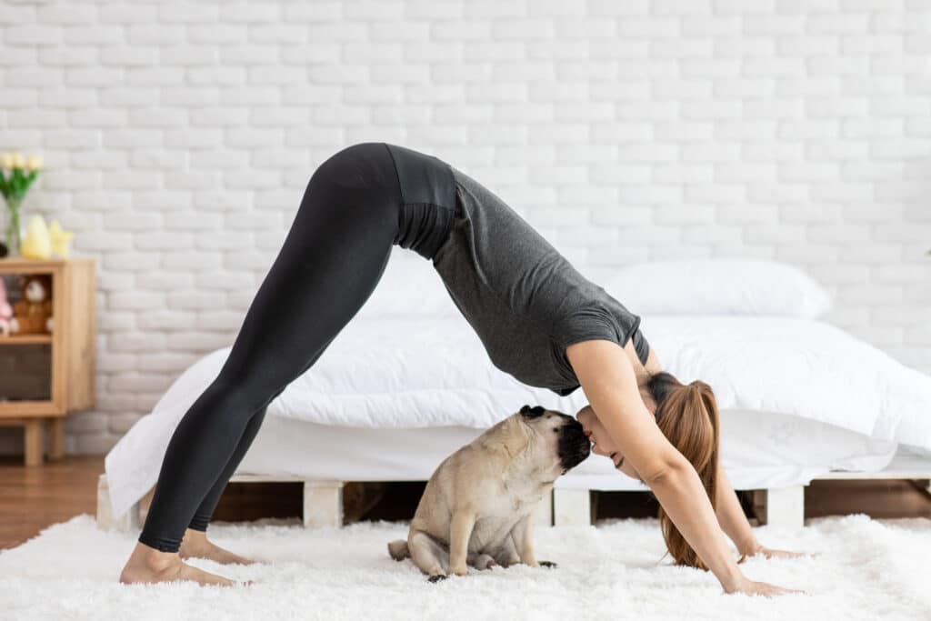 5 Pet yoga poses for kids — Woofpurnay Veterinary Hospital | Professional  compassionate care | Emergency Vet