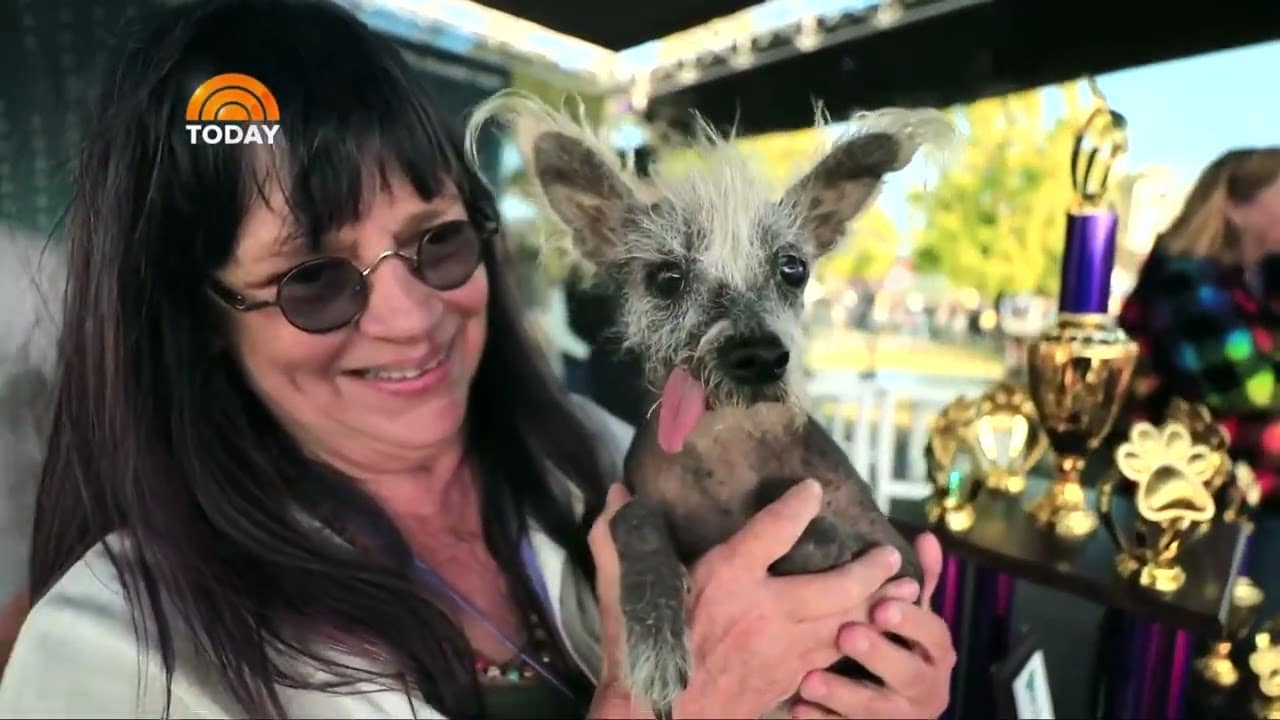 scooter-the-chinese-crested-crowned-this-year-s-world-s-ugliest-dog