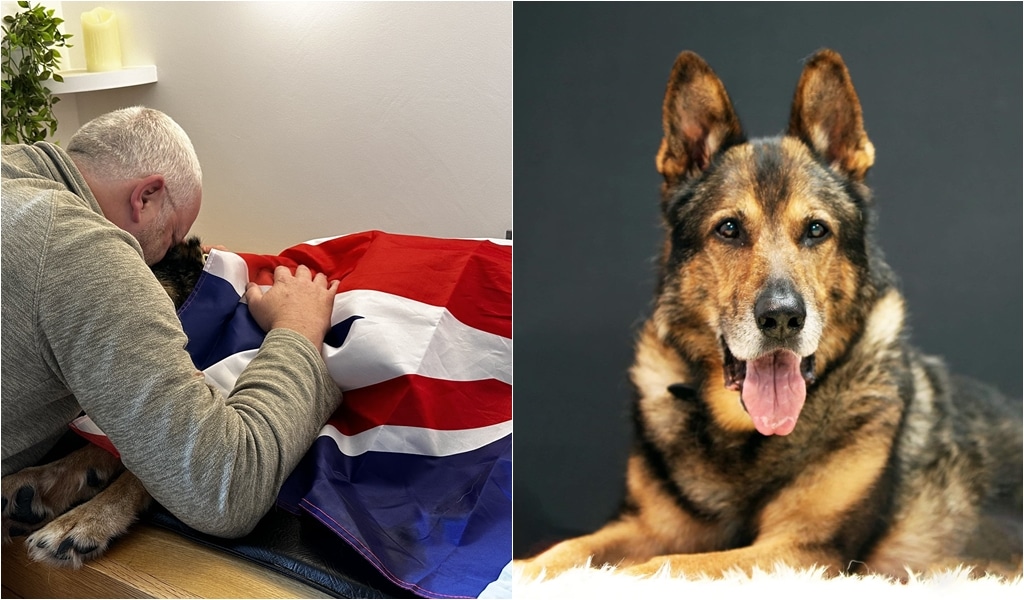 Britain's Got Talent Star And Hero Police Dog Finn Dies At 14