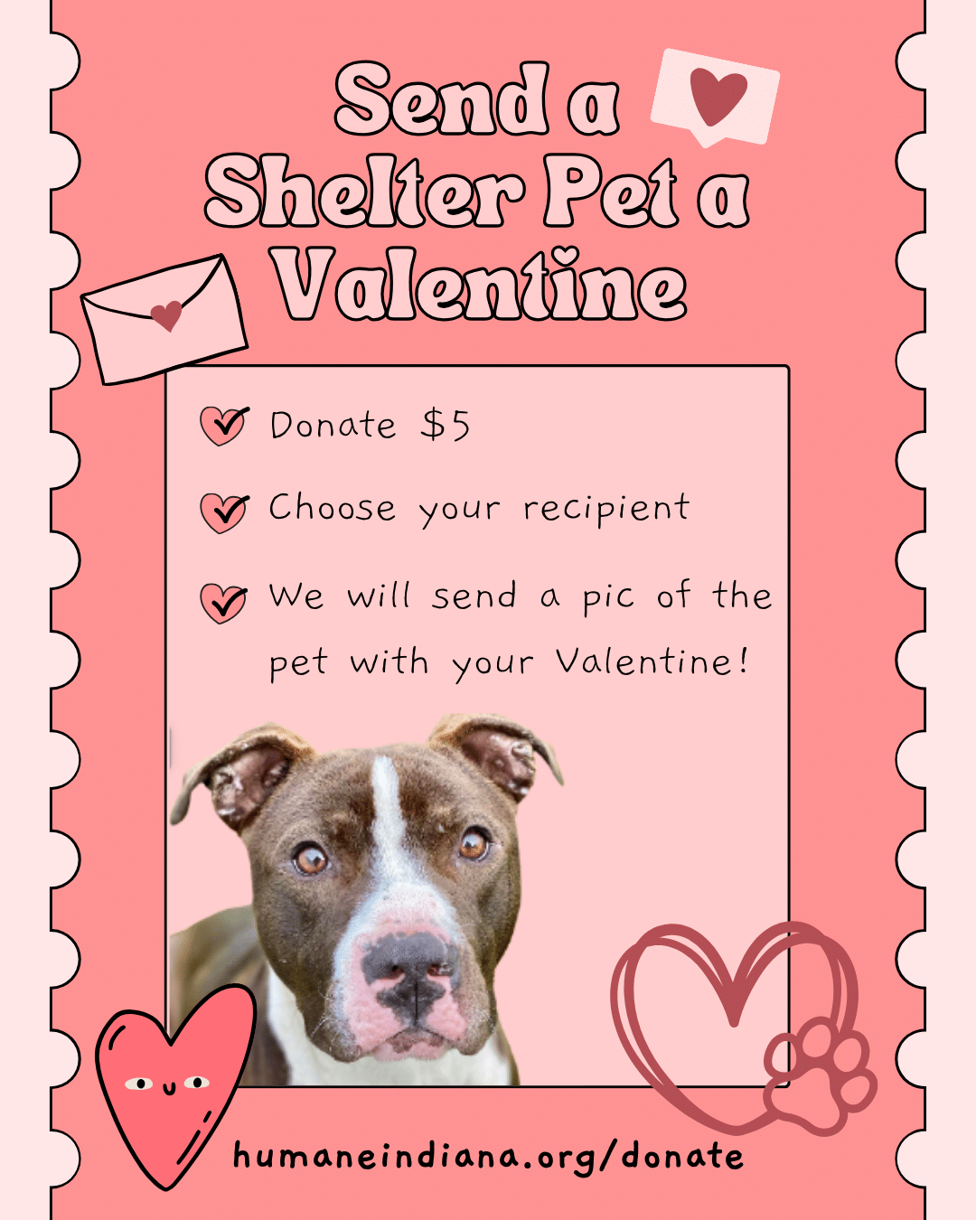 Ways To Celebrate Valentine’s Day With Shelter Dogs - The Dogington Post