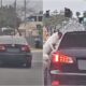 Dog Abandoned On The Road, Chasing Its Owner'S Car