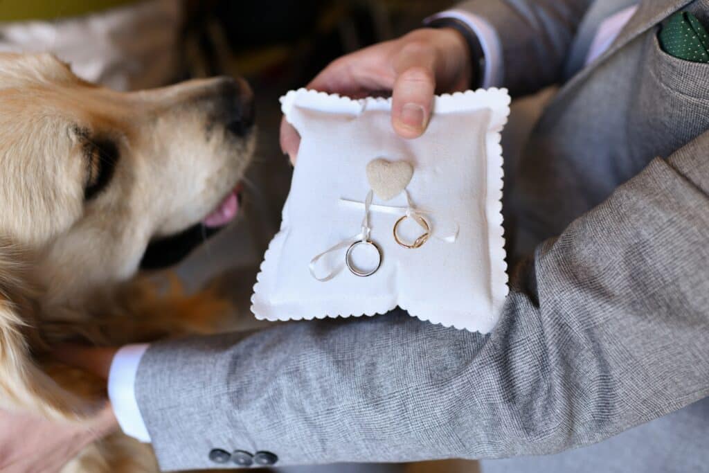 Golden Retriever Becomes His Pawrents Wedding Ring Bearer And Steals ...