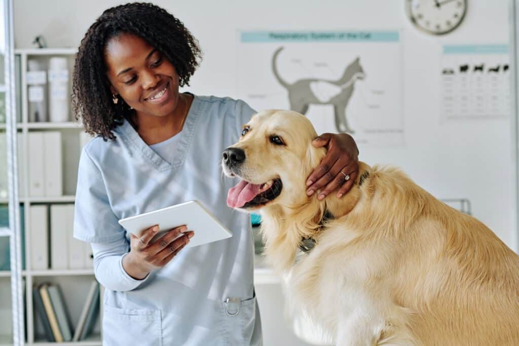 Veterinario joven usando una tableta con un perro 