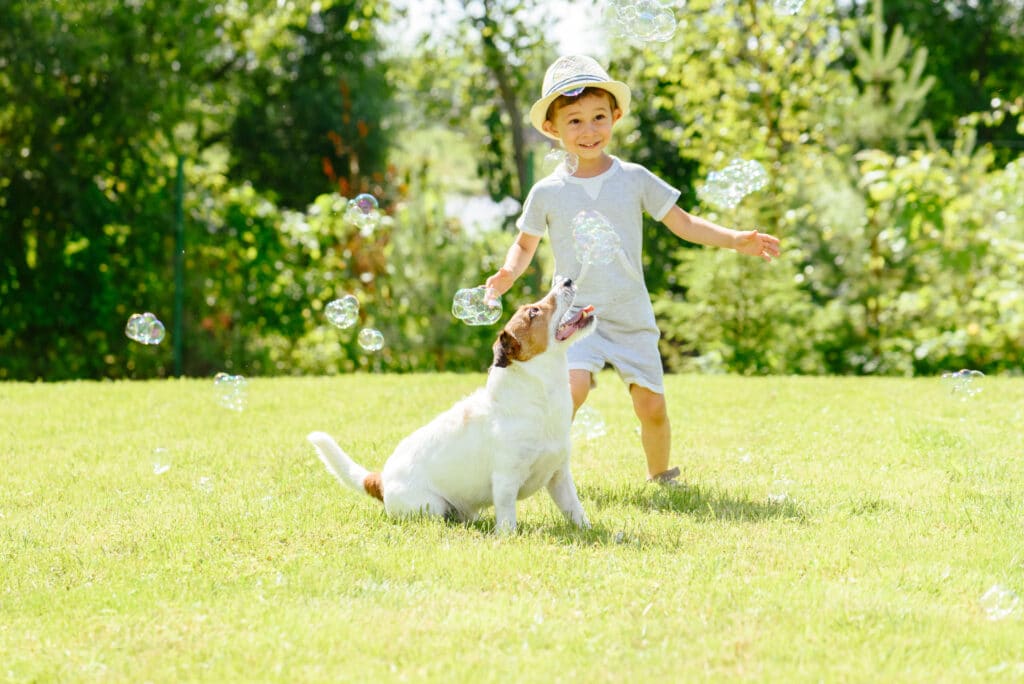 Niño feliz y perro mascota jugando con pompas de jabón en el patio trasero