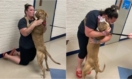 An Indiana Woman Is Extremely Delighted After Being Reunited With Her Emotional Support Dog Who Had Been Missing For Two Years.