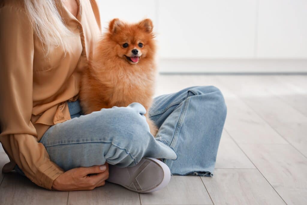 Woman With Pomeranian Dog In Kitchen