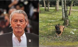 Alain Delon Wants His Dog To Be Put Down And Buried With Him