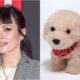 Lily Allen Receives Backlash And Mechanical Dog From Peta