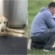 Animal Shelter Puts Down Healthy Missing Dog