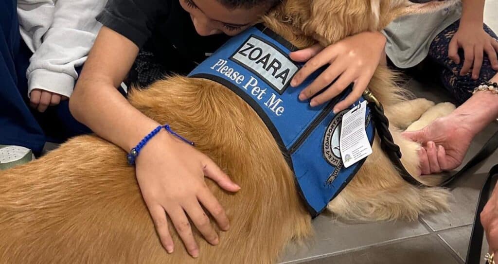 Comfort Dog At The Apalachee High School