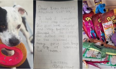 Girl Donates Lemonade Stand Money To Animal Shelter