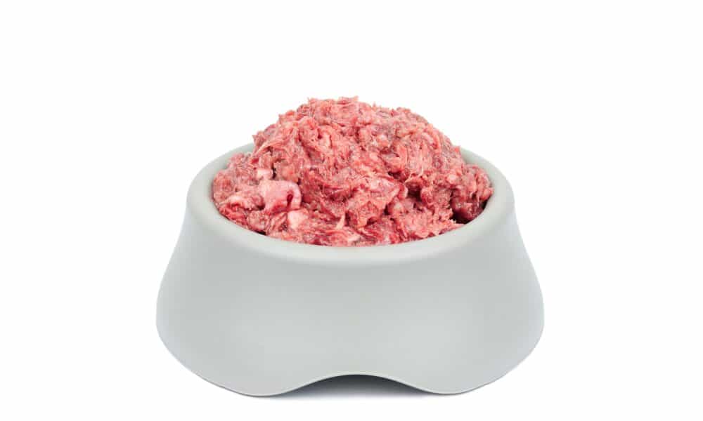 Natural Dog Food Raw Minced Meat In Grey Bowl Isolated On White Background