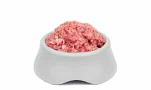 Natural dog food Raw minced meat in grey bowl isolated on white background