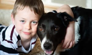 A Cute Little Boy With Adhd, Autism, Aspergers Syndrome Plays And Poses With His Loyal Pet Dog