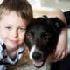 A Cute Little Boy With Adhd, Autism, Aspergers Syndrome Plays And Poses With His Loyal Pet Dog