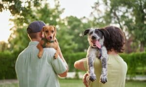 The Pima Animal Care Center (PACC) just announced on Wednesday, October 16, that they're willing to pay anyone who is willing to foster a large dog from their shelter for two weeks.