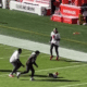 Dachshund Escapes And Runs Around The Field At Nfl Game