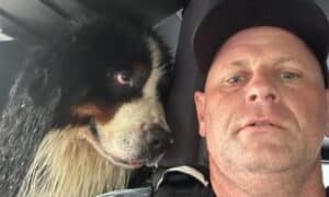 Dog looking at firefighter who rescued him from floods