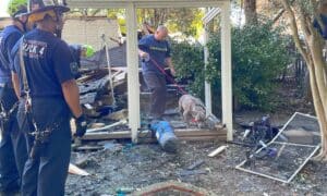 Dog survives house explosion and gets rescued six days after