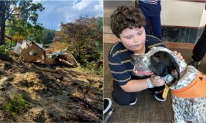 Family dog locates best friend from under the rubble