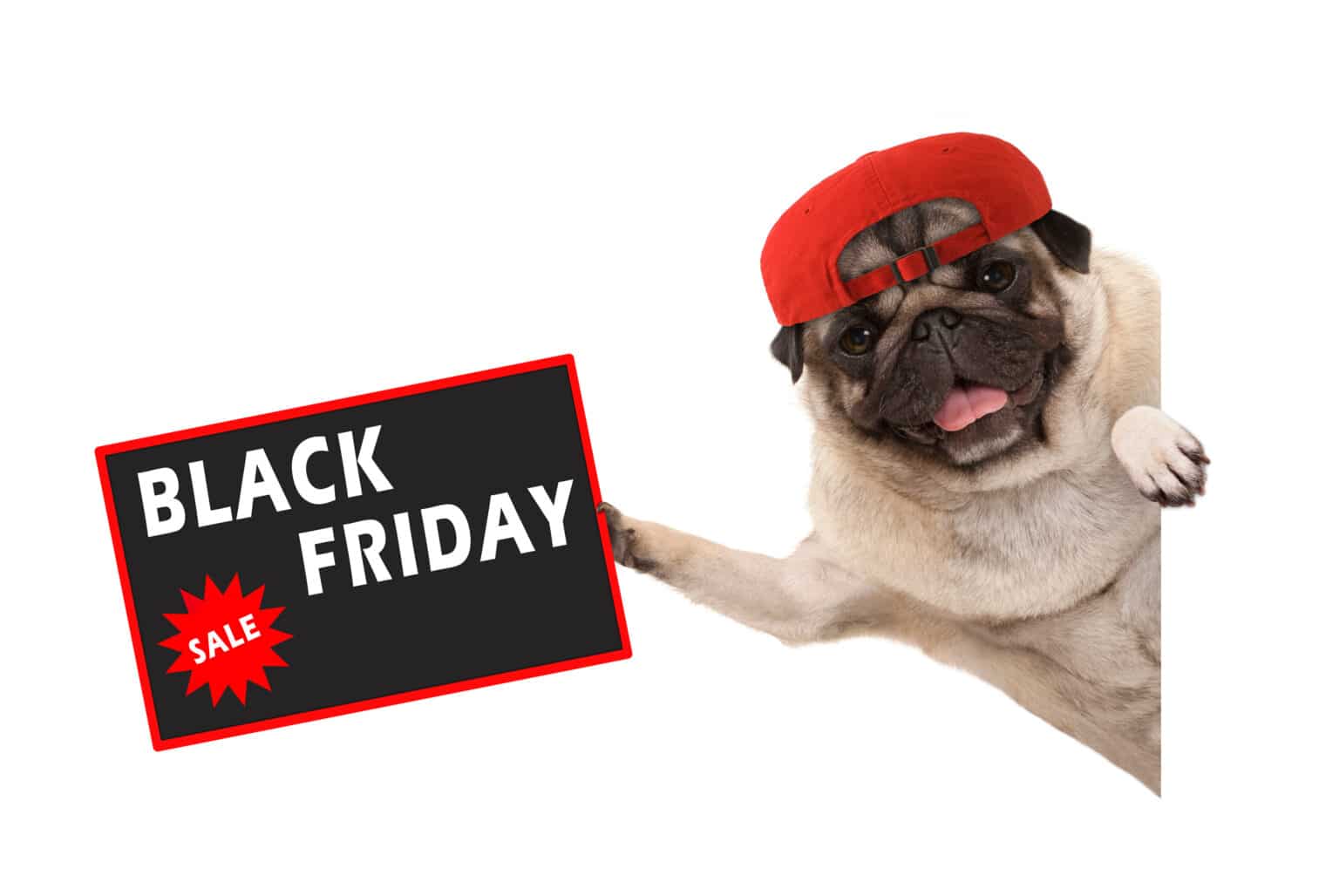 The Best 2024 Black Friday Dog Deals The Dogington Post