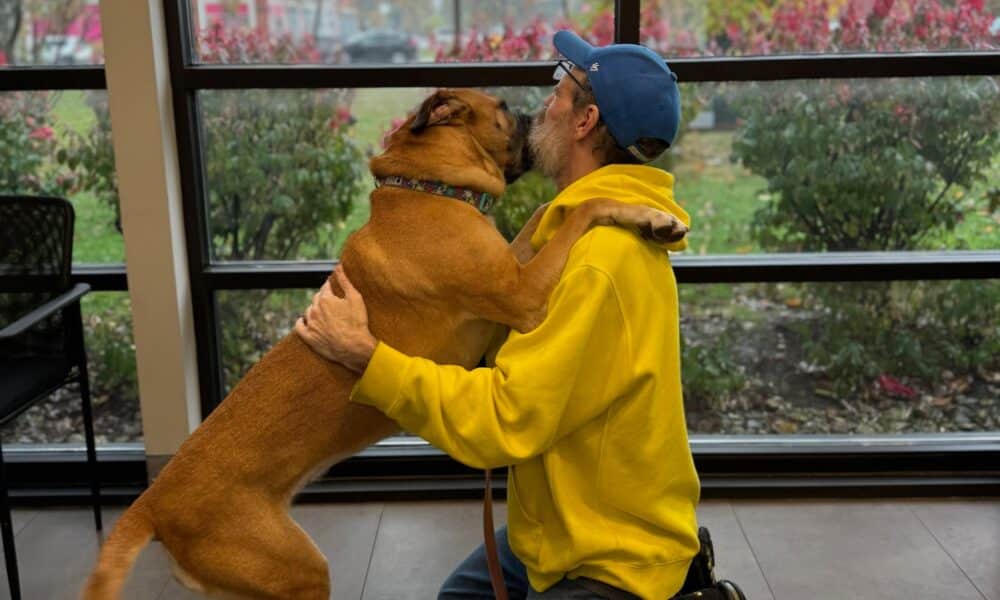 Cancer Survivor Gets Heartwarming Reunion With Dog He Had To Surrender