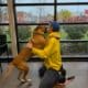 Cancer survivor reunites with loyal dog