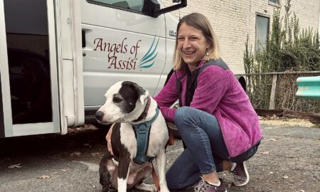 Dog who spent 472 days in shelter finally finds forever home