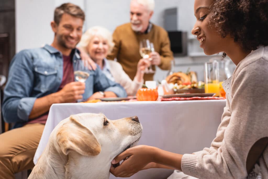 Girl Stroking Golden Retriever While Family Celebrating Thanksgiving Day