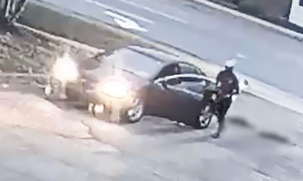 PETA Offers K In Rewards To Help Identify Man Who Dragged Dogs Behind His Car