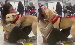 Rescue dog falls in love at first sight with new mom