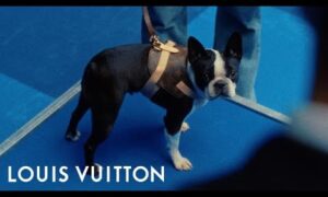 Best in Show | LOUIS VUITTON