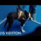 Best in Show | LOUIS VUITTON