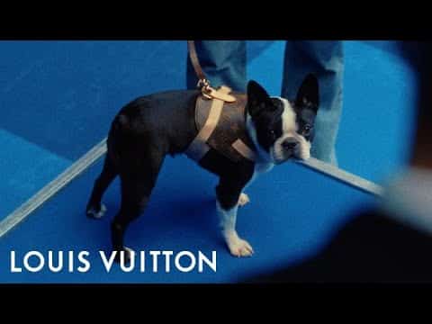 Louis Vuitton New Dog Collection Includes K Kennel, Dog Poo Bag Holder, Leather Dog Bowl, And Many More!