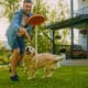 Man Plays Catch Flying Disc With Happy Golden Retriever Dog On The Backyard Lawn