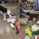 Shelter Dogs Pick Out Their Christmas Toy