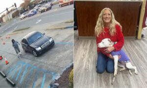 Abandoned Dog Who Ran Into Oncoming Traffic Finds Forever Home