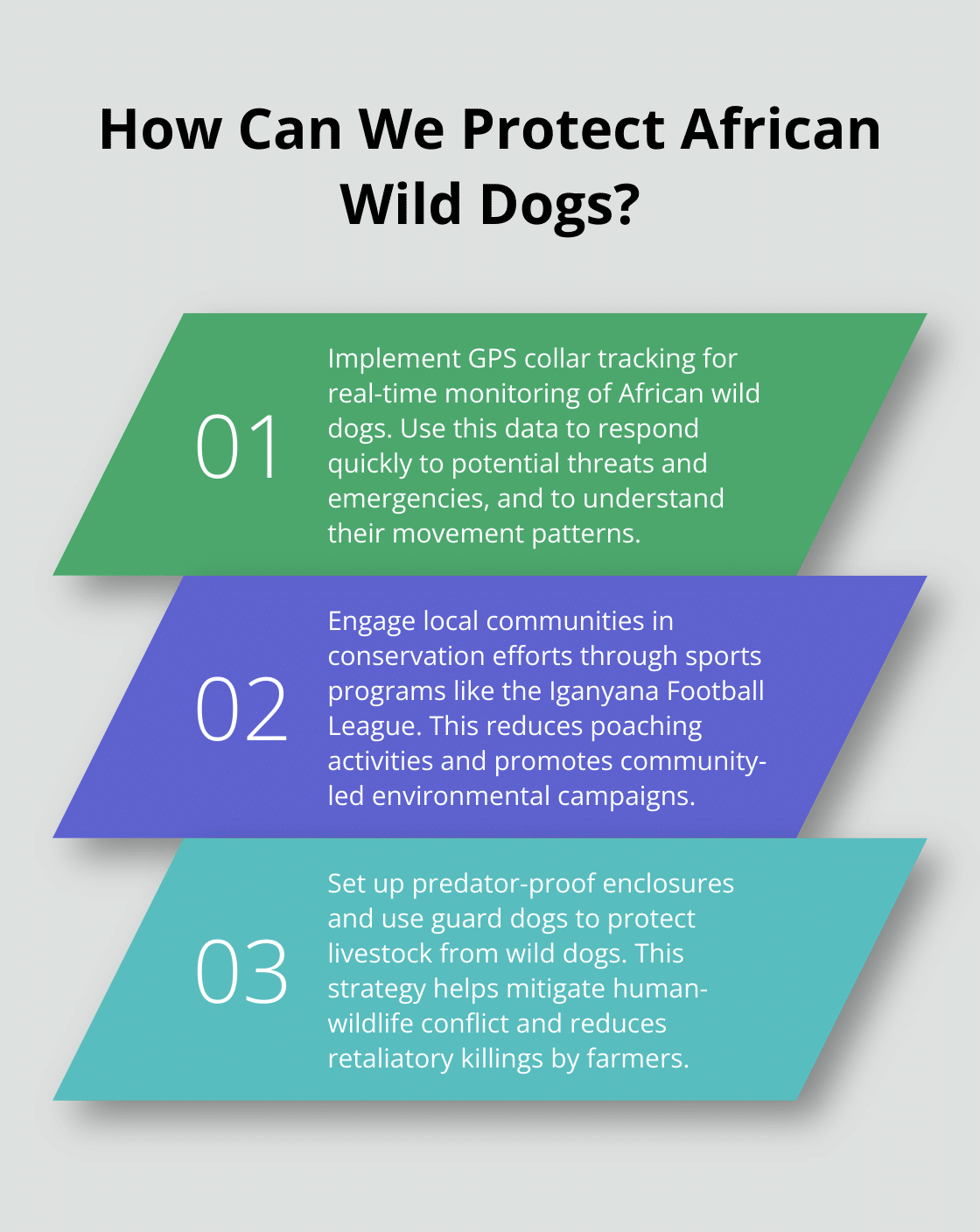 Infographic: How Can We Protect African Wild Dogs?