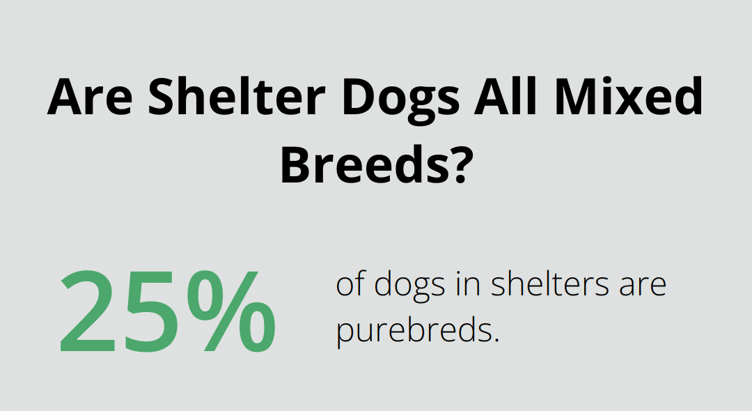 Infographic: Are Shelter Dogs All Mixed Breeds?