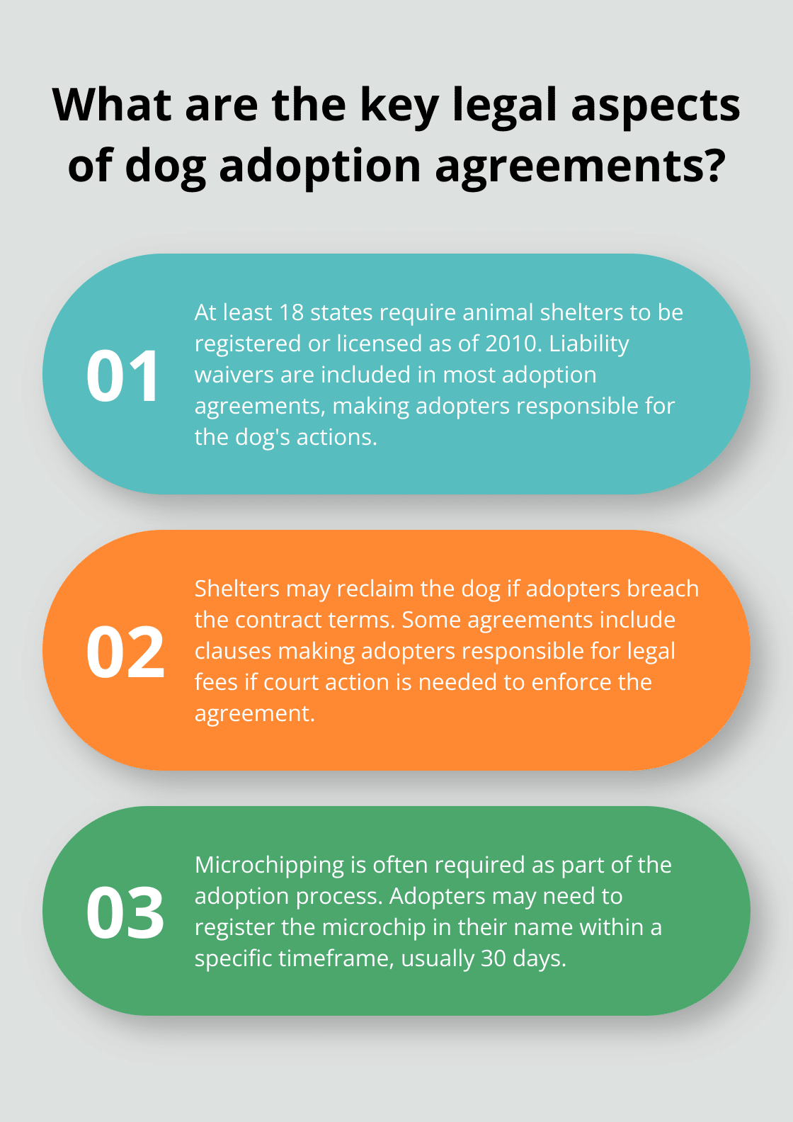 Infographic: What are the key legal aspects of dog adoption agreements?