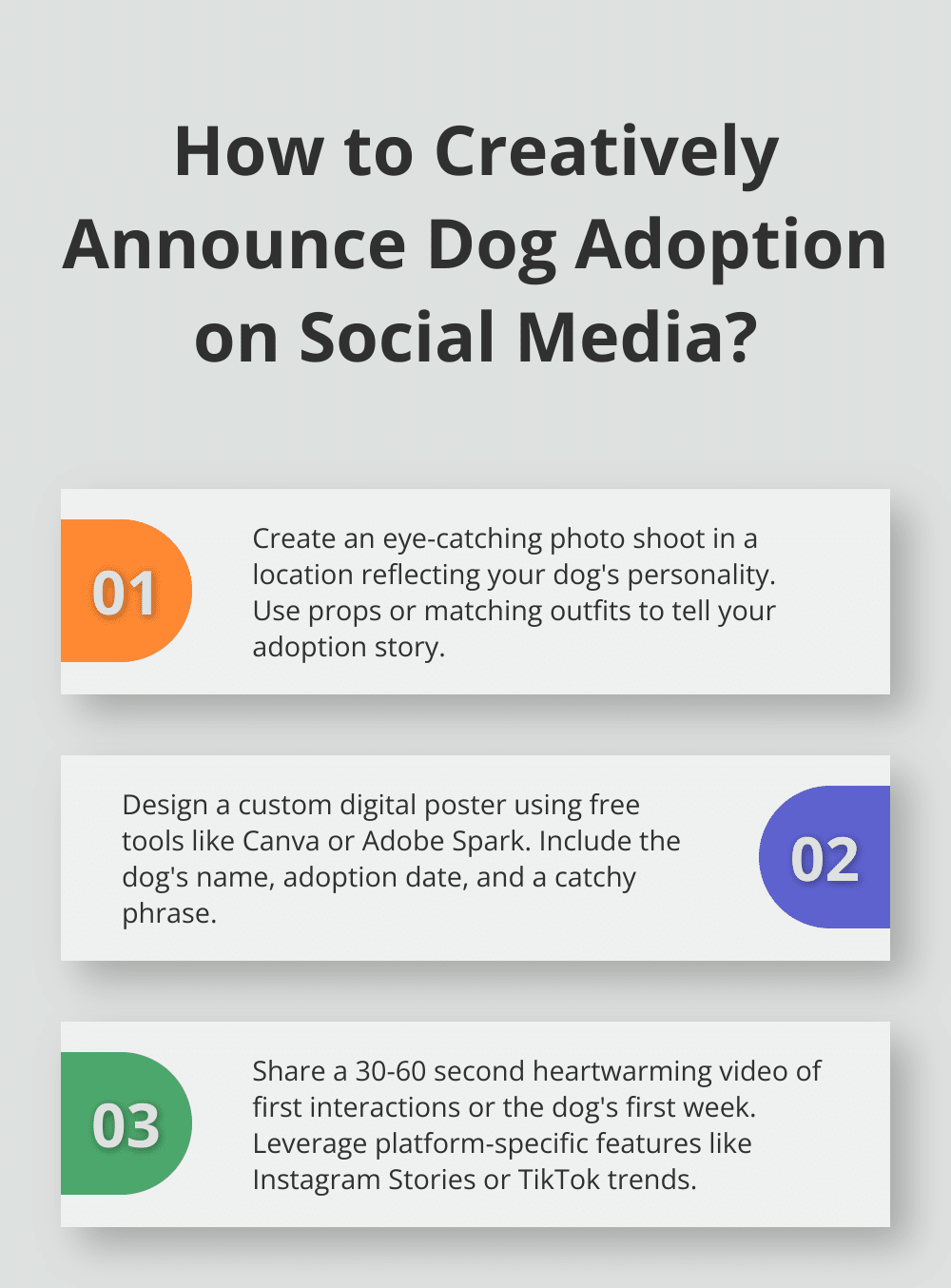 Infographic: How to Creatively Announce Dog Adoption on Social Media?