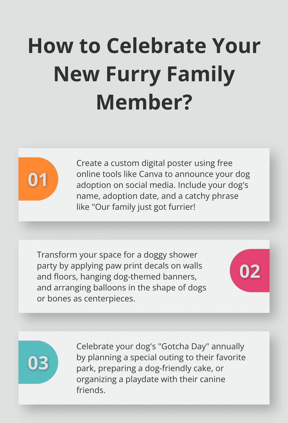 Infographic: How to Celebrate Your New Furry Family Member? - dog adoption announcement