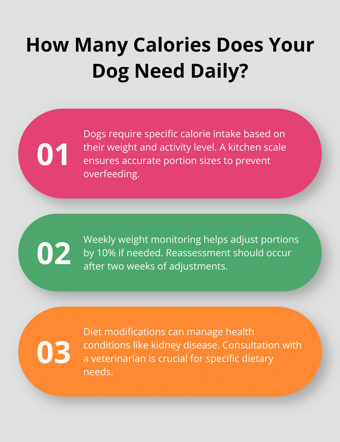 Infographic: How Many Calories Does Your Dog Need Daily? - dog food nutrition calculator