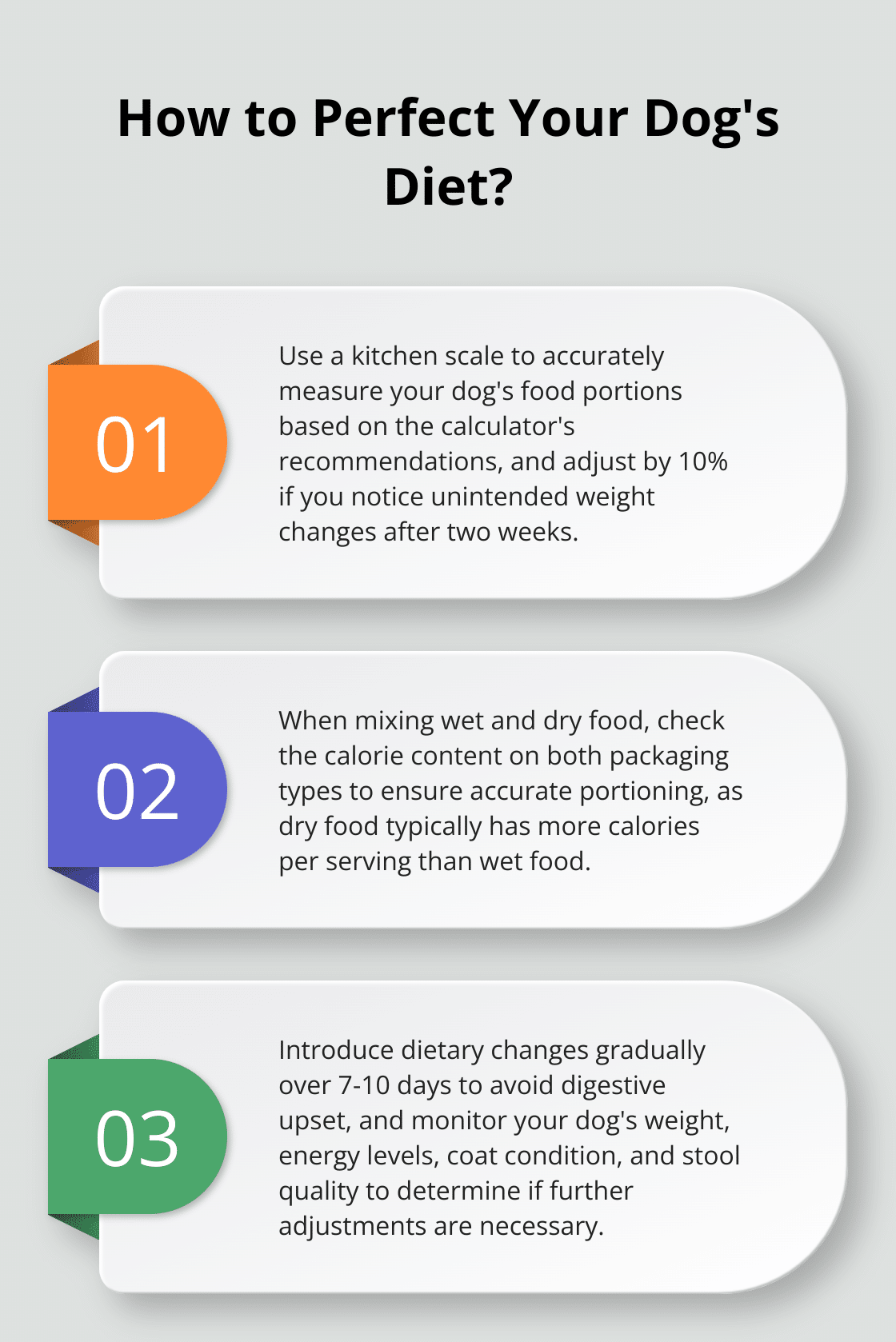 Infographic: How to Perfect Your Dog's Diet?