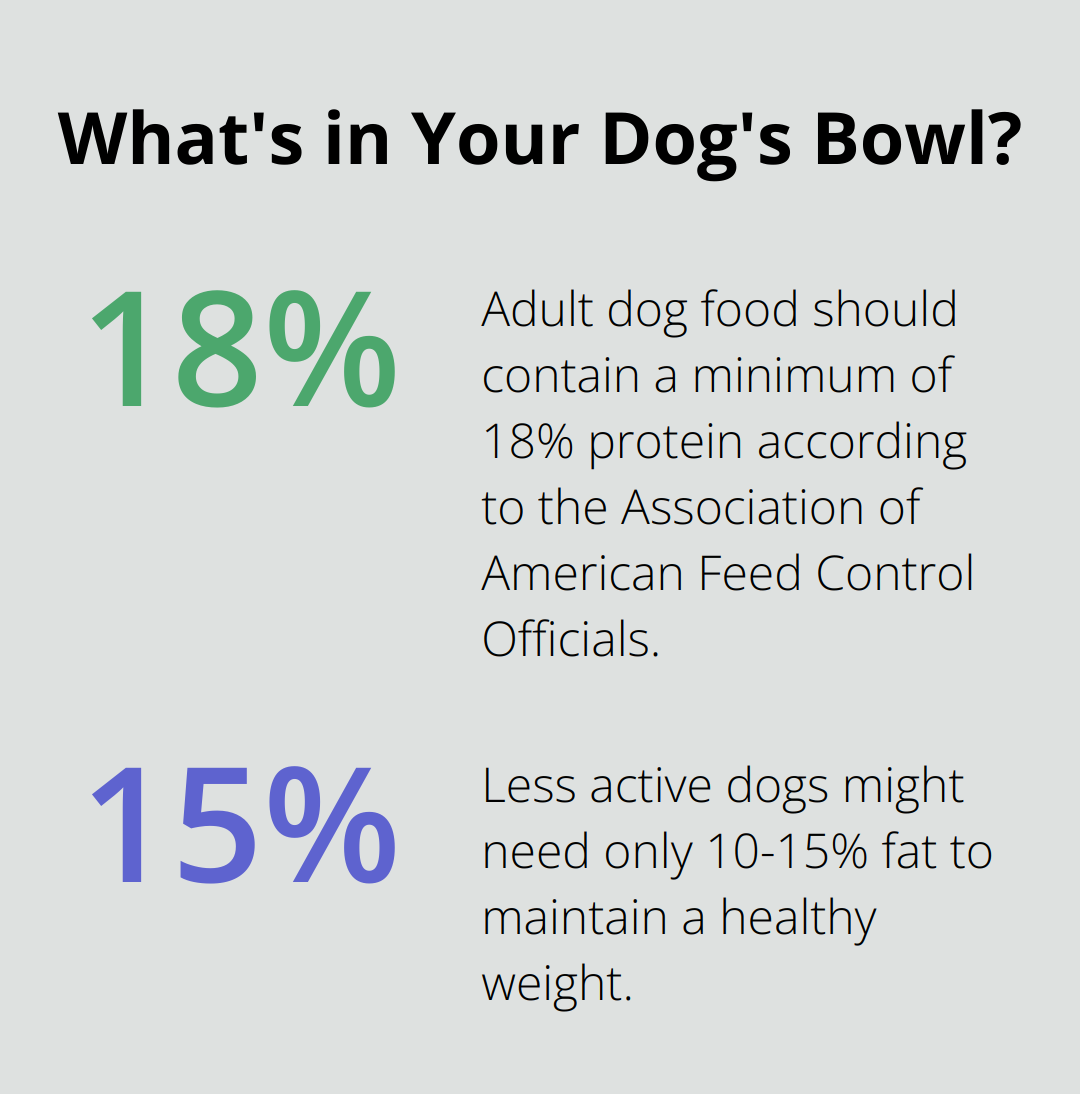 Infographic: What's in Your Dog's Bowl?