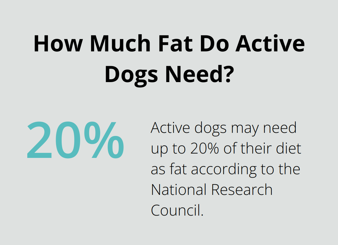 Infographic: How Much Fat Do Active Dogs Need? - holistic dog nutrition