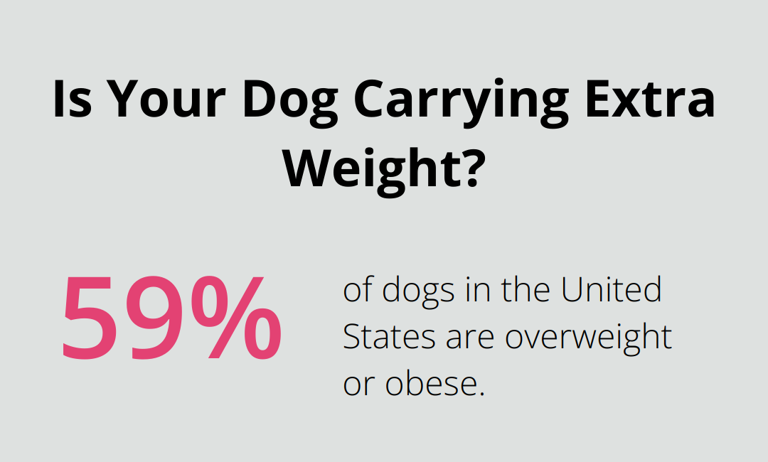 Infographic: Is Your Dog Carrying Extra Weight? - holistic dog nutrition