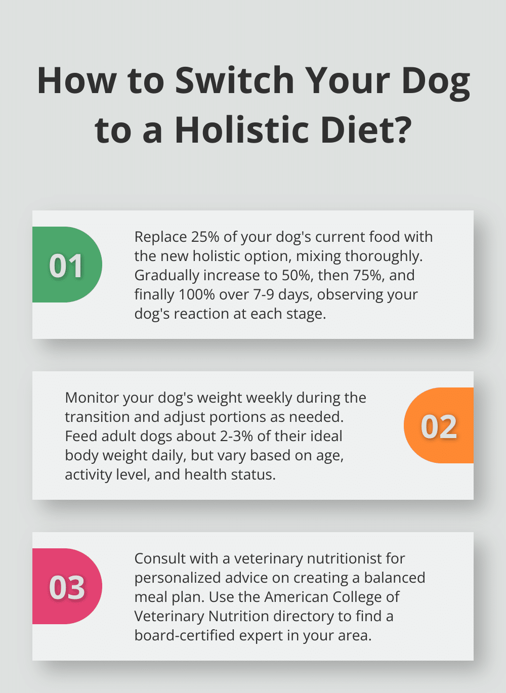 Infographic: How to Switch Your Dog to a Holistic Diet?