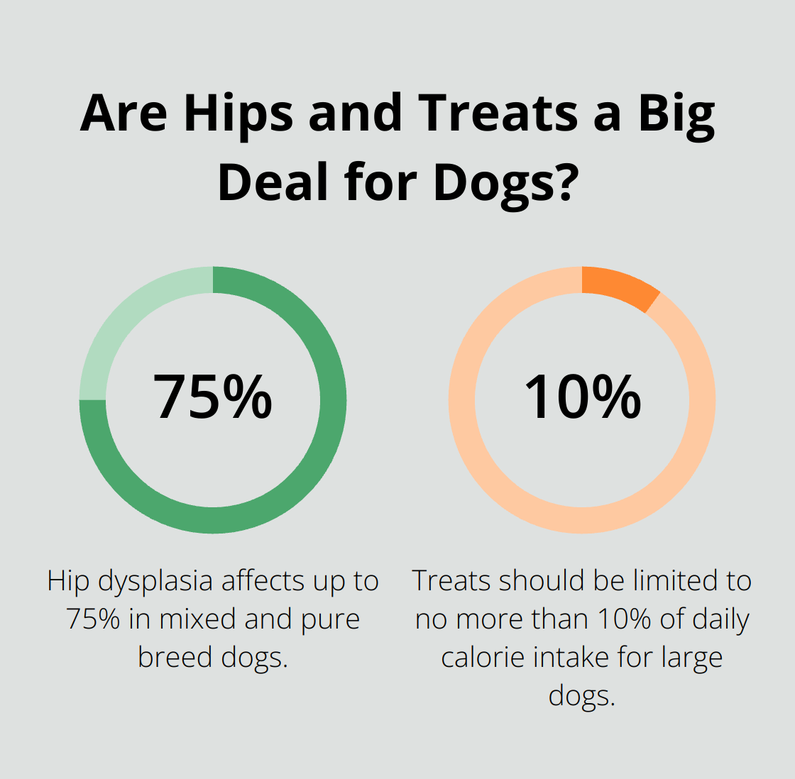 Infographic: Are Hips and Treats a Big Deal for Dogs?